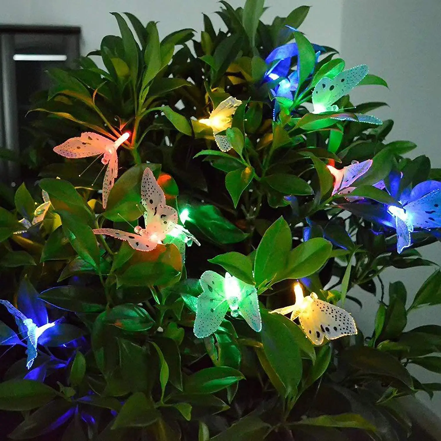 Solar Butterfly Fairy String Lights 11.9FT - Waterproof & LED